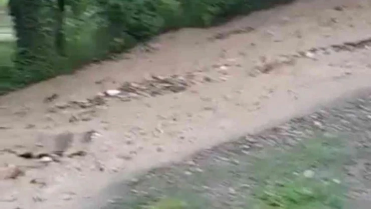 Zonguldak'ta kuvvetli yağışta yolları ve işyerini su bastı